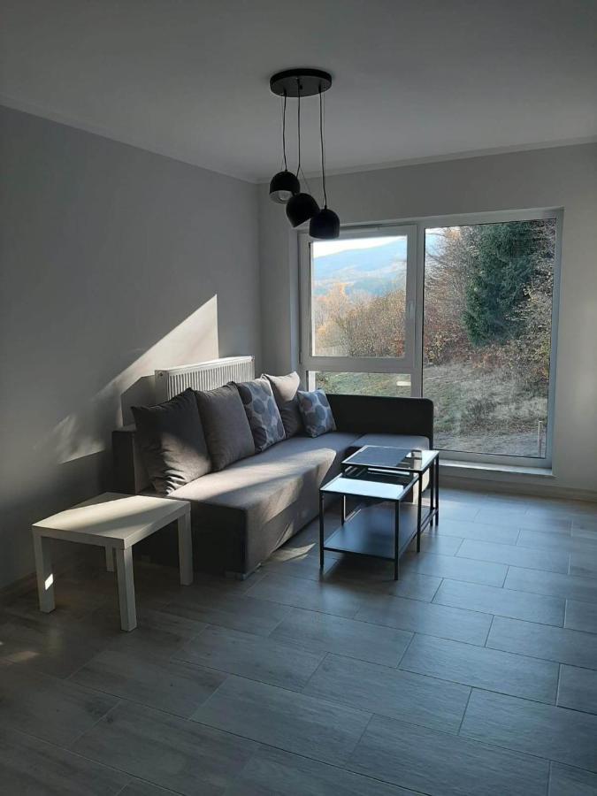 Apartament Lilu Szklarska Poręba Zewnętrze zdjęcie